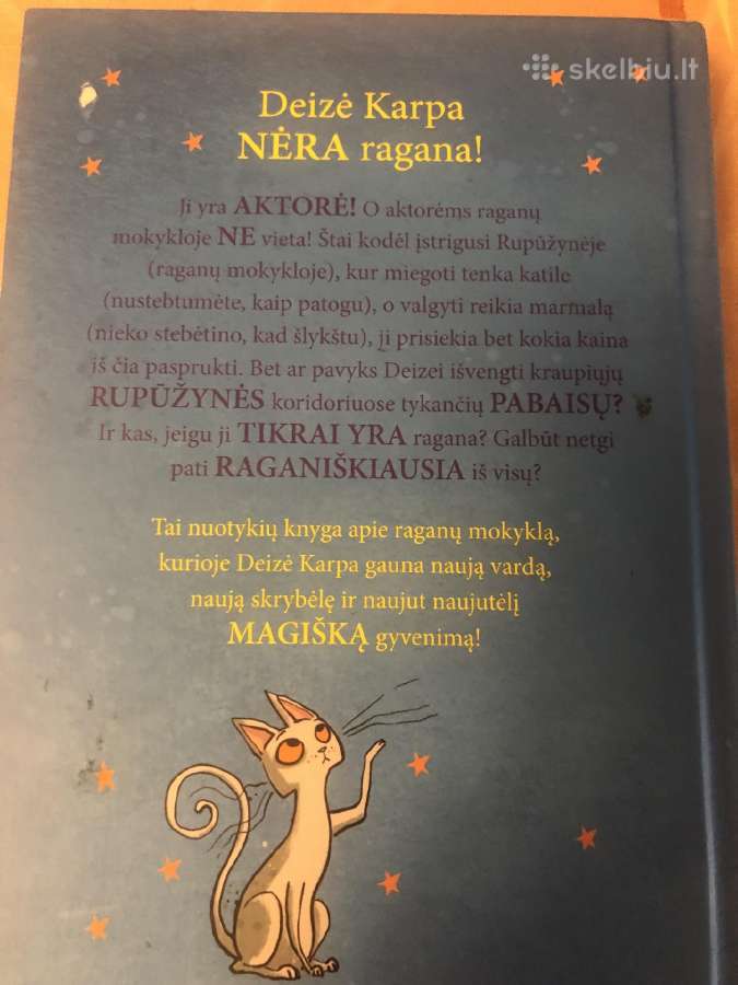 Nepriversit manęs eiti į raganų mokyklą - nuotraukos Nr. 6