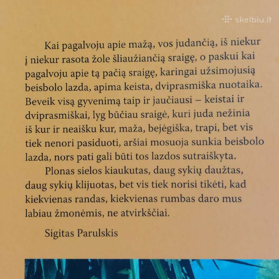 S. Parulskis " Sraigė su beisbolo lazda ". - nuotraukos Nr. 8