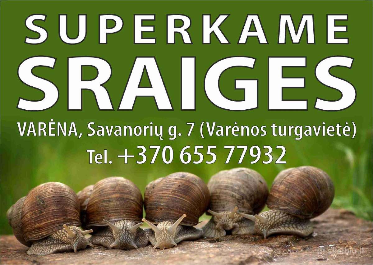 Superkame Sraiges Varėna