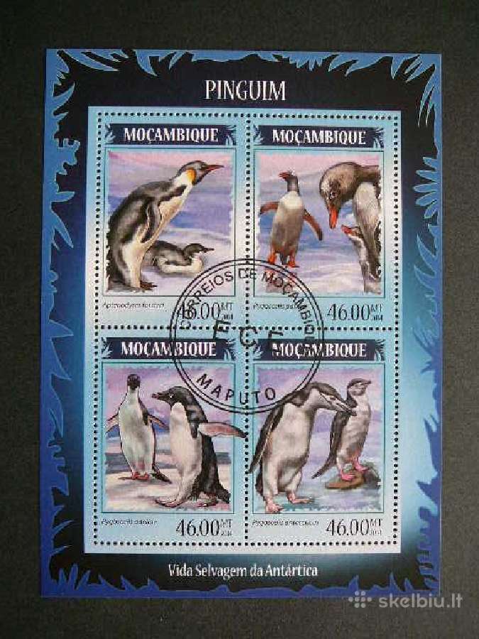 Pingvinai Mozambikas 2014 antsp. mb472