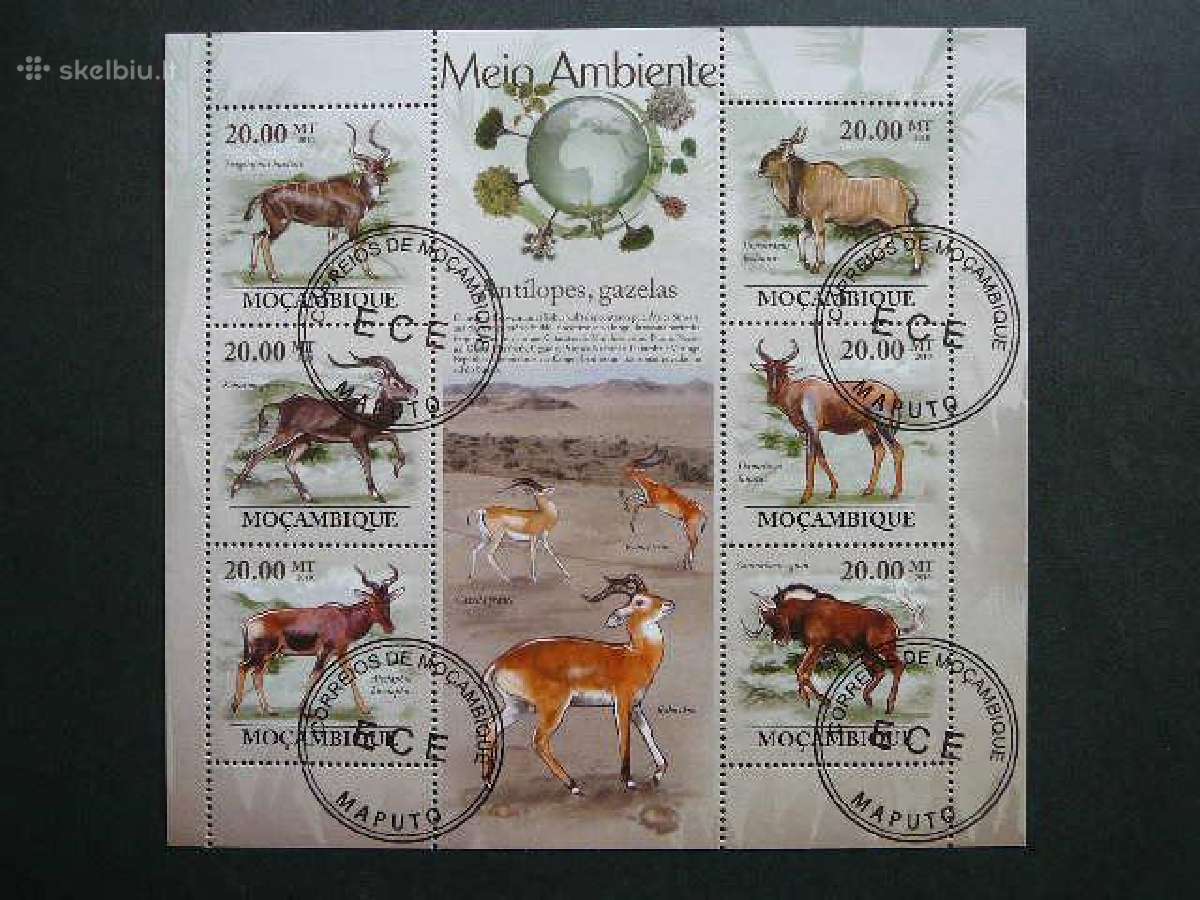 Antilopes Mozambikas 2010 antsp. mb474