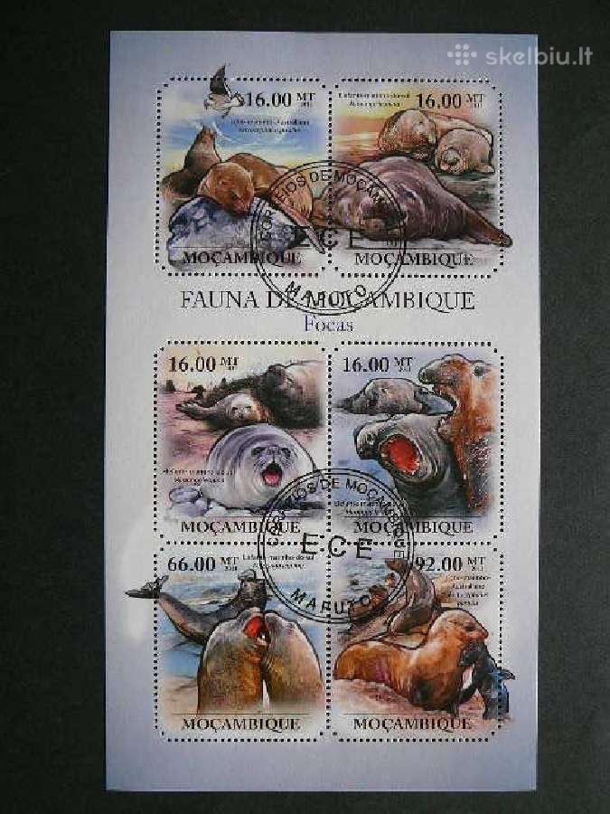 Ruoniai Mozambikas 2011 antsp. mb475