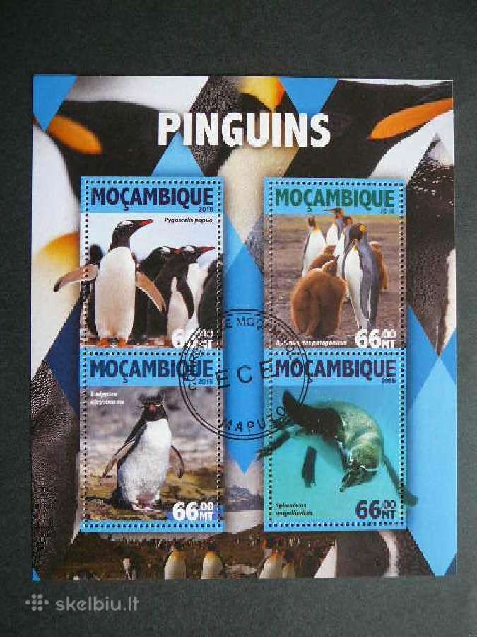 Pingvinai Mozambikas 2011 antsp. mb478