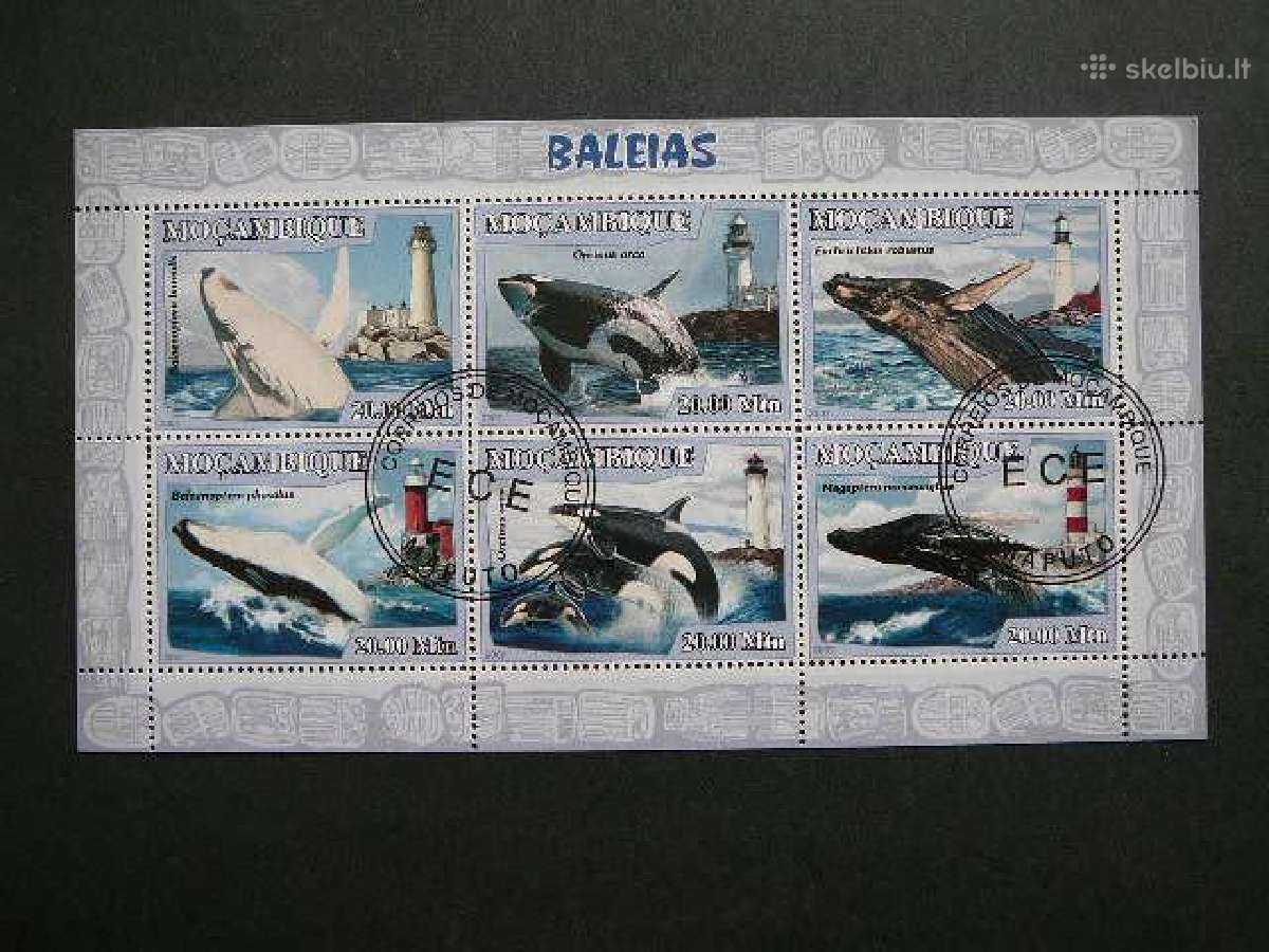 Banginiai Svyturiai Mozambikas 2007 antsp. mb484