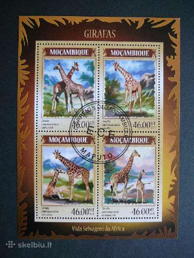 Zirafos Mozambikas 2014 antsp. mb490