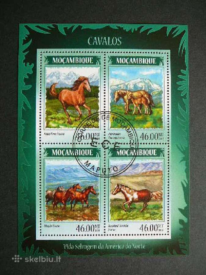 Arkliai Mozambikas 2014 antsp. mb491