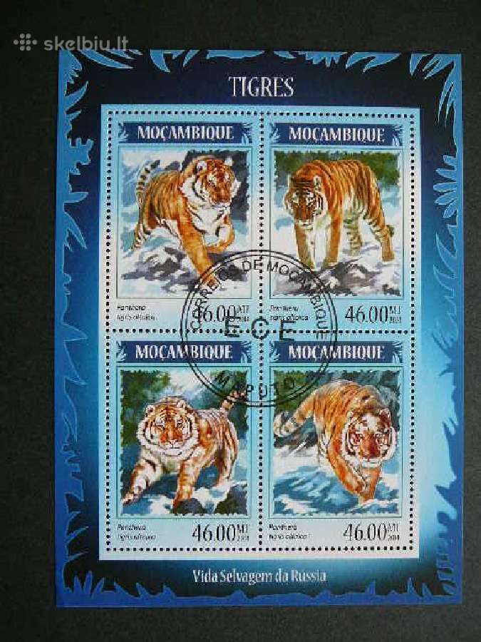 Tigrai Kates laukines Mozambikas 2014 antsp. mb492