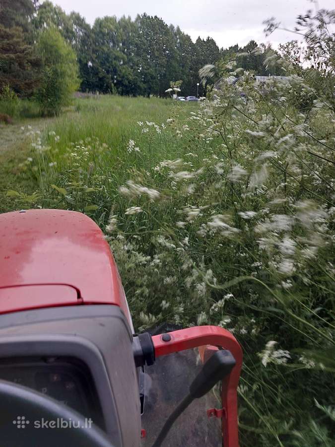 Žolės pjovimas, mulčiavimas, sklypų priežiūra - nuotraukos Nr. 12