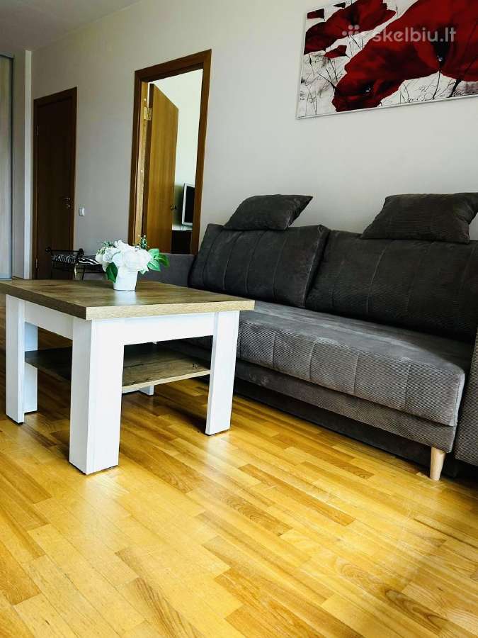 Jaukus naujos st. 2-ju kamb. butas prie Big 2 prek - nuotraukos Nr. 23