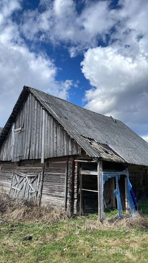 Pastatų griovimo paslaugos - nuotraukos Nr. 10