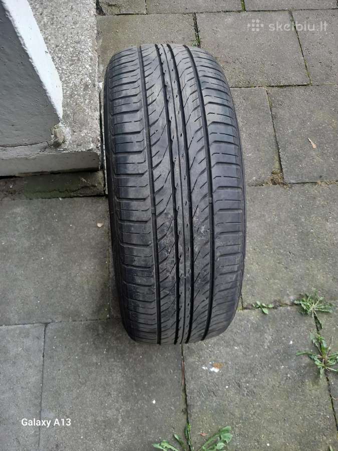Vasarinių padangų komplektas Ecogreen 195/55 R 16