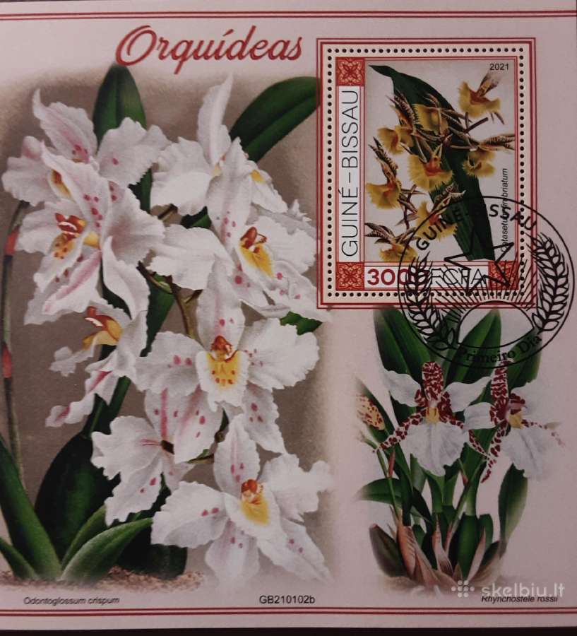 Gėlės - nuotraukos Nr. 16