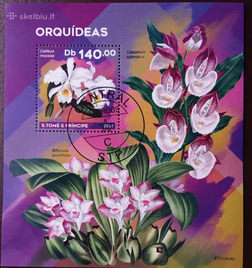 Gėlės - nuotraukos Nr. 17