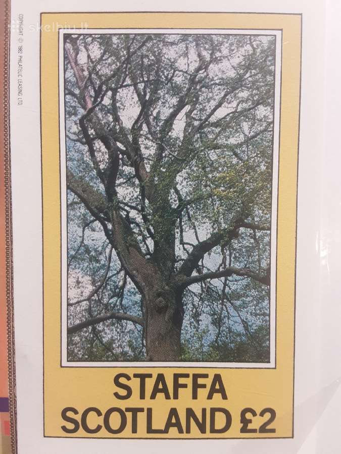 Gėlės - nuotraukos Nr. 27