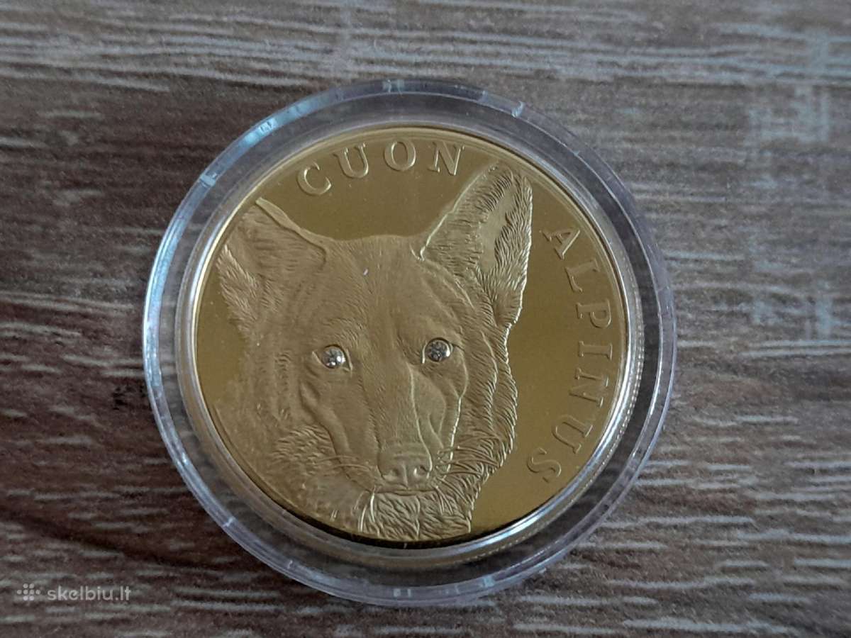 Auksinė moneta su briliantais 1/4 oz