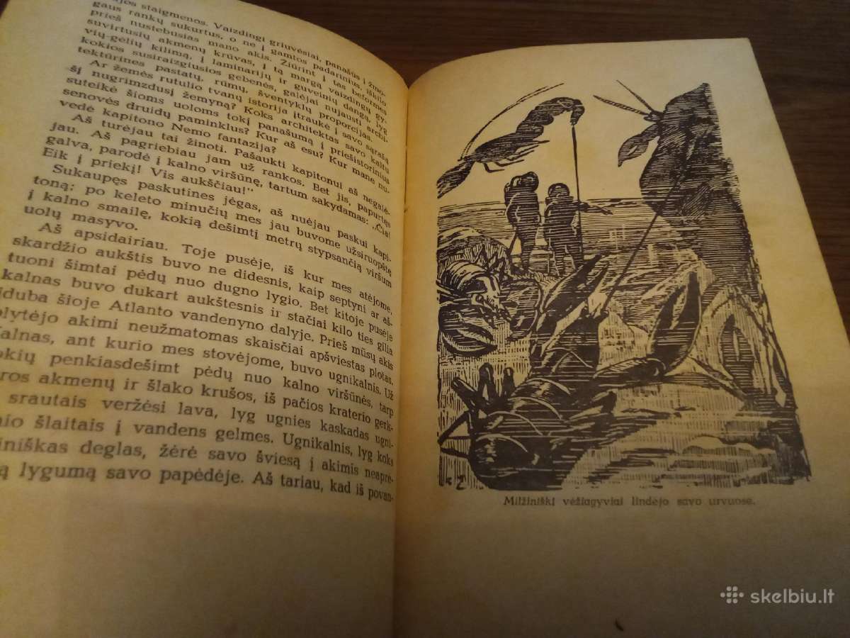 20000 mylių po vandeniu Ž.vernas - nuotraukos Nr. 3