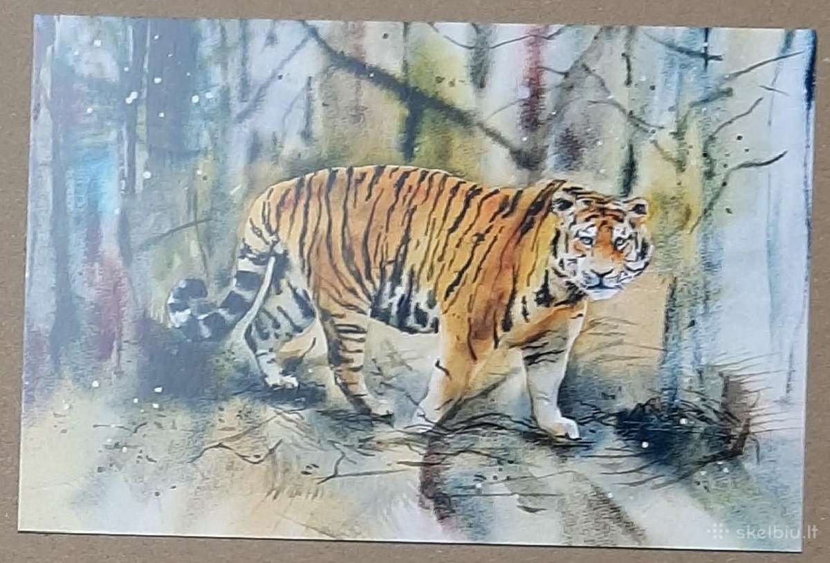 Atvirukai, Atvirutės, nauji, tinka postcrossing - nuotraukos Nr. 5