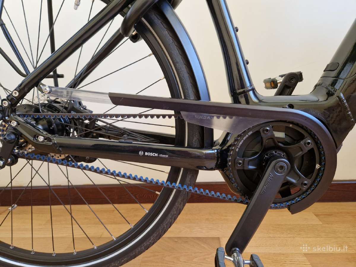 Gudereit Et 11 EVO Rohloff E 14 diržine pavara - nuotraukos Nr. 6