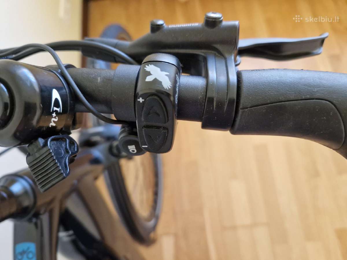Gudereit Et 11 EVO Rohloff E 14 diržine pavara - nuotraukos Nr. 13