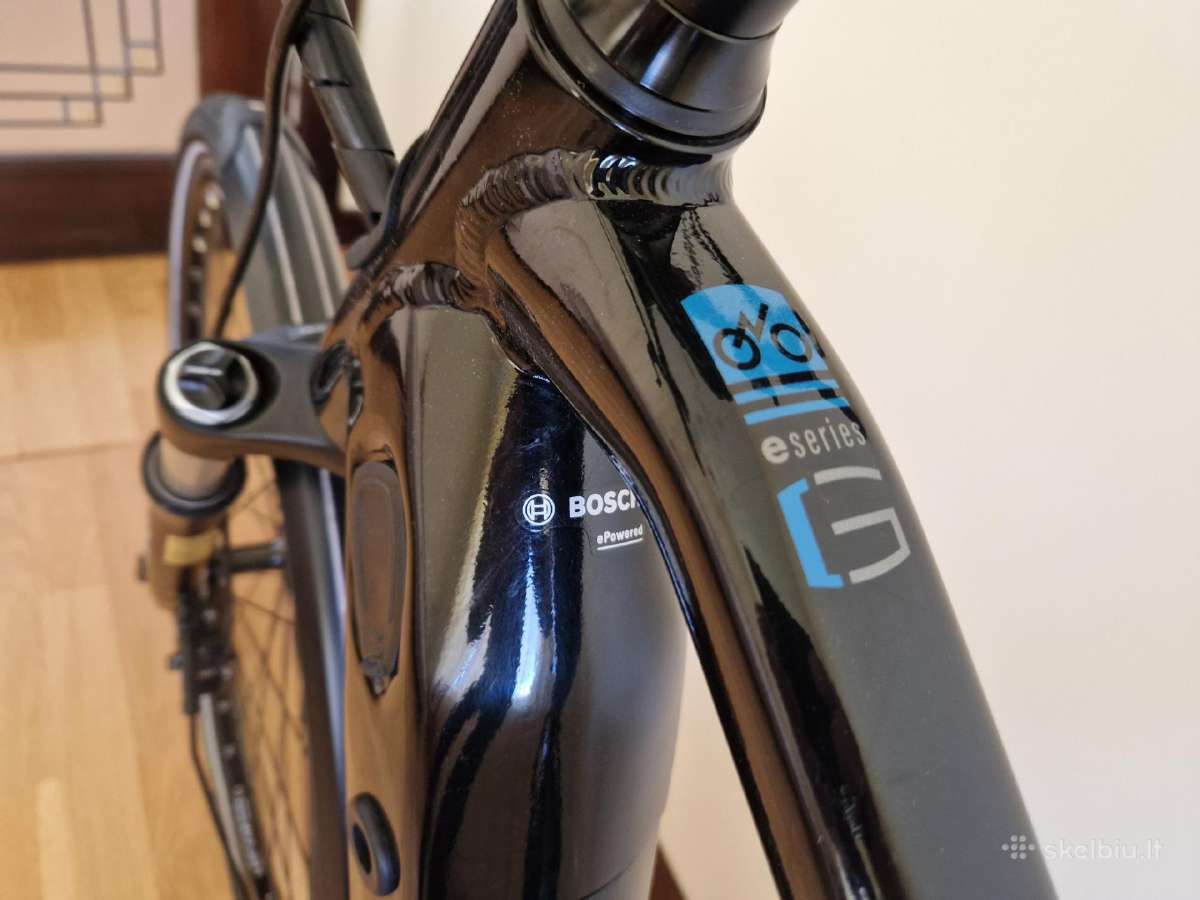 Gudereit Et 11 EVO Rohloff E 14 diržine pavara - nuotraukos Nr. 30