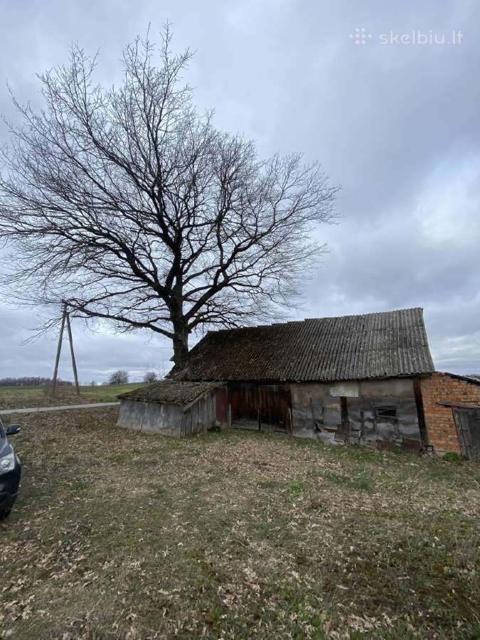 Sodyba Raičiu kaime, Lazdiju rajonas - nuotraukos Nr. 8