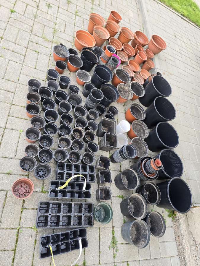 Labai daug plastikinių vazonų - nuotraukos Nr. 2