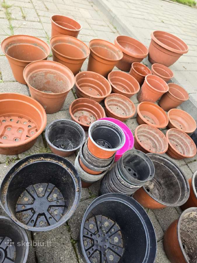 Labai daug plastikinių vazonų - nuotraukos Nr. 4