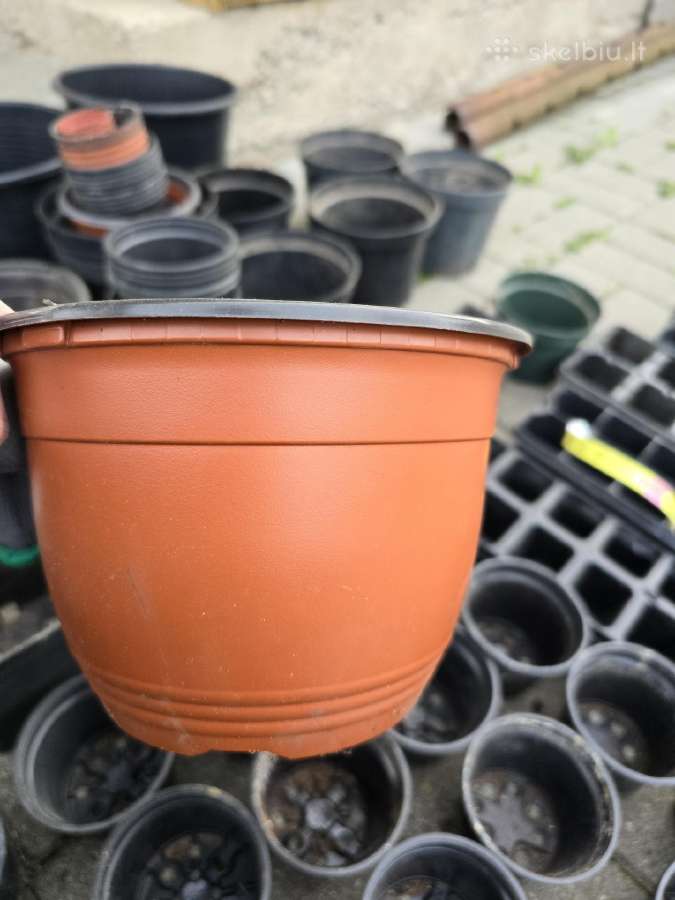 Labai daug plastikinių vazonų - nuotraukos Nr. 9