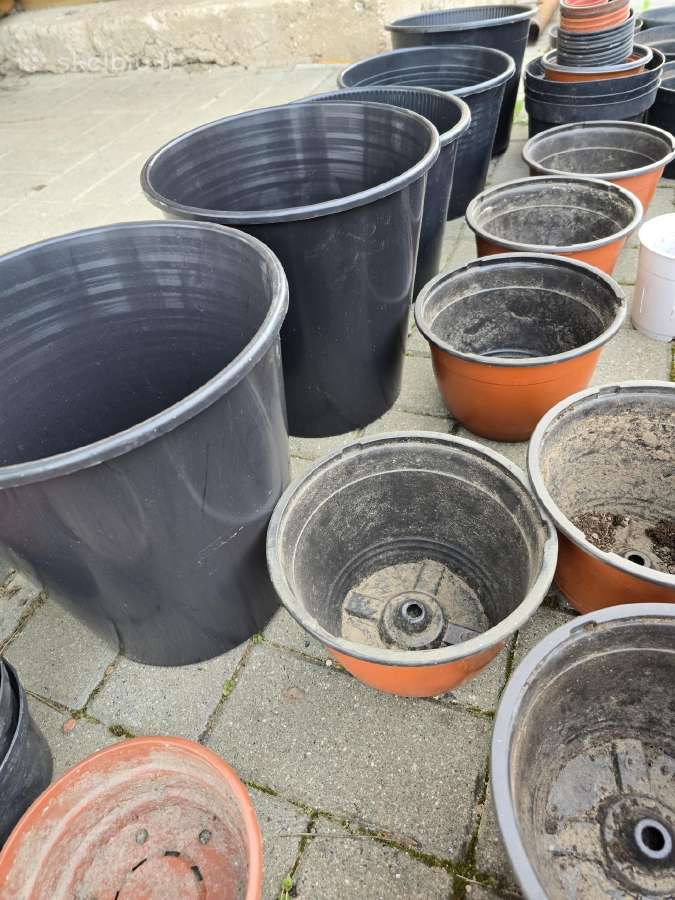 Labai daug plastikinių vazonų - nuotraukos Nr. 11