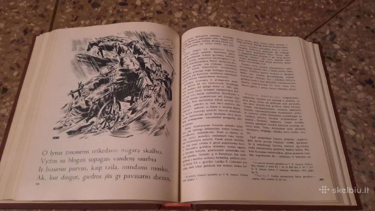Knyga Lietuvių dailės istorija - nuotraukos Nr. 7