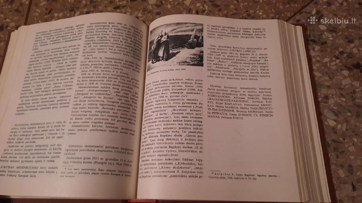 Knyga Lietuvių dailės istorija - nuotraukos Nr. 5