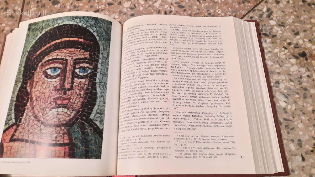 Knyga Lietuvių dailės istorija - nuotraukos Nr. 8