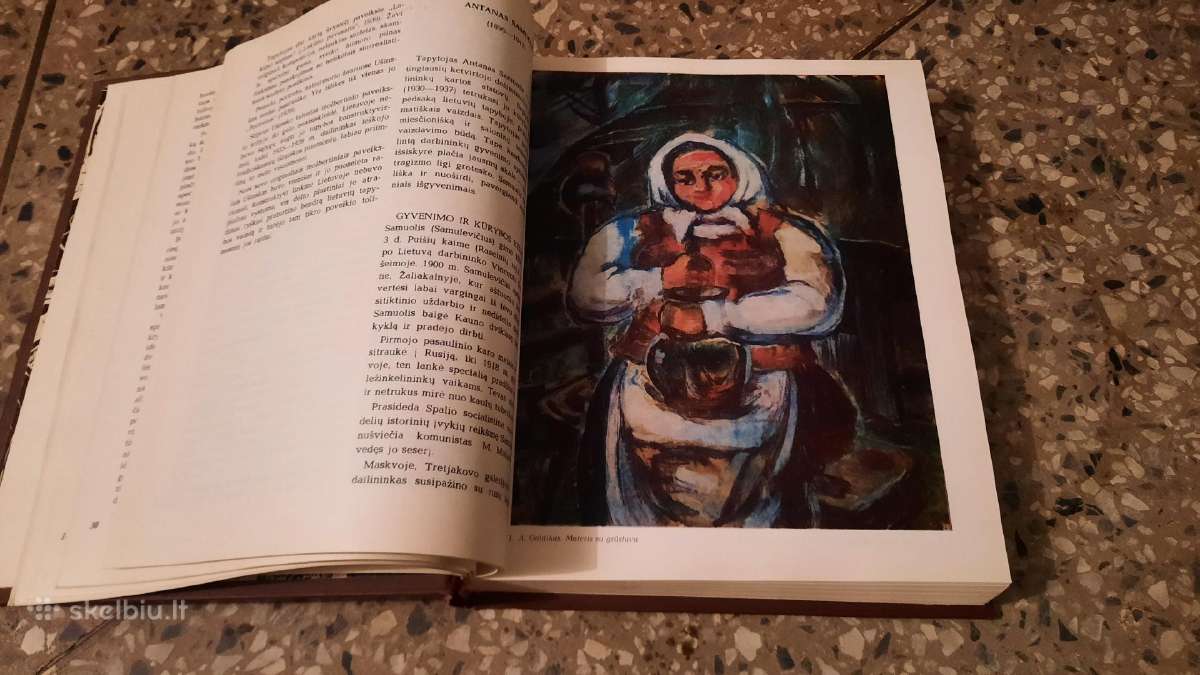 Knyga Lietuvių dailės istorija