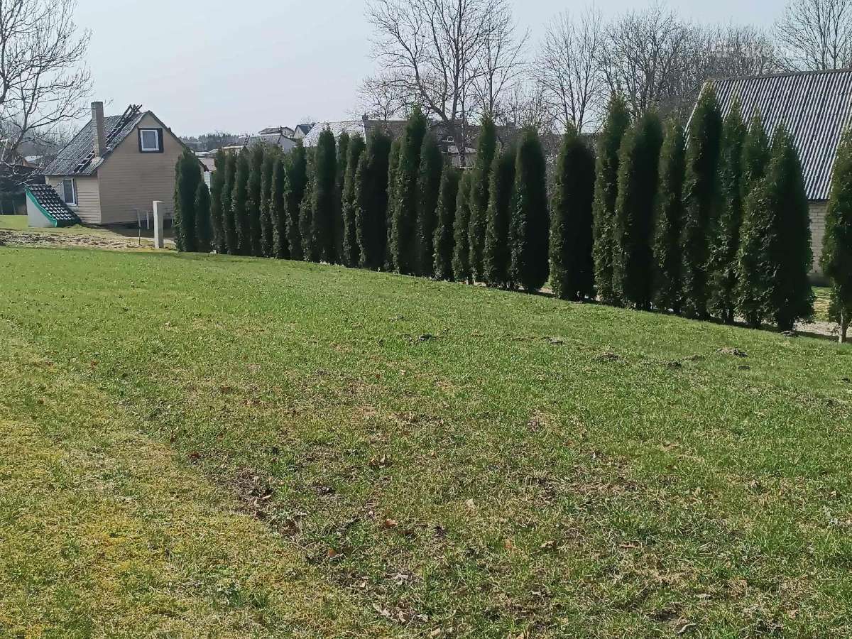 Parduodamas 19 a. Žemės sklypas Telšių r. - nuotraukos Nr. 12