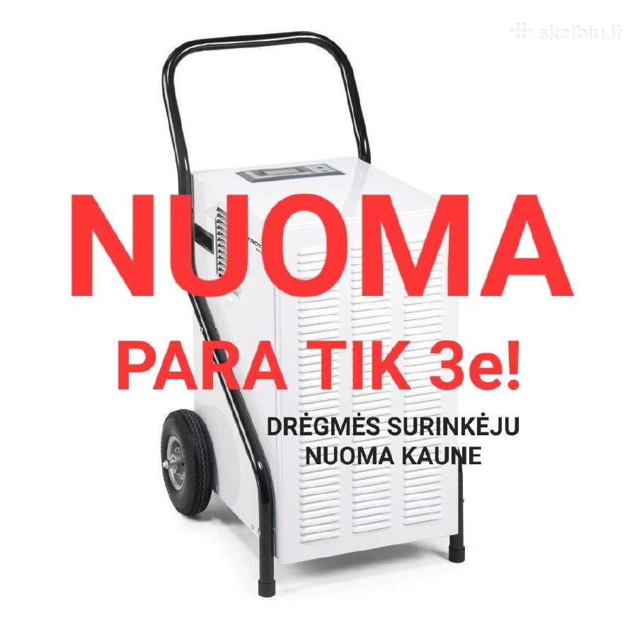 Pigiausia Kaune! Dregmes surinkejas nuoma