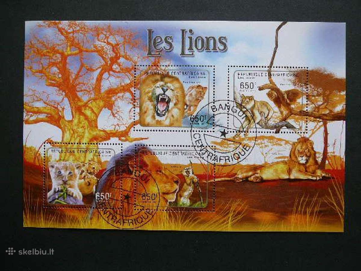 Liutai Kates laukines Centr. Afrikos Resp. caf123