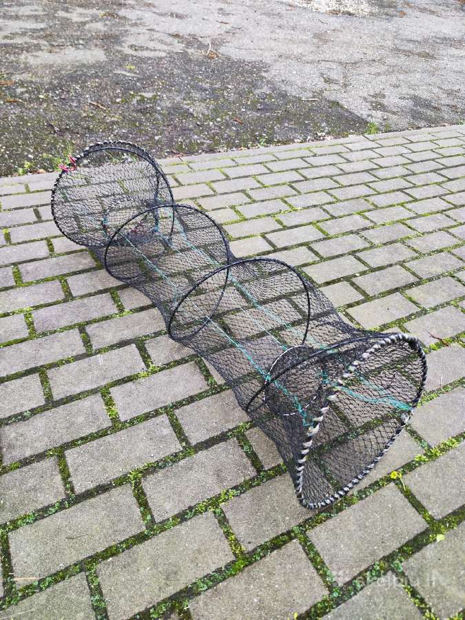 Nauji vėžiniai bučiai