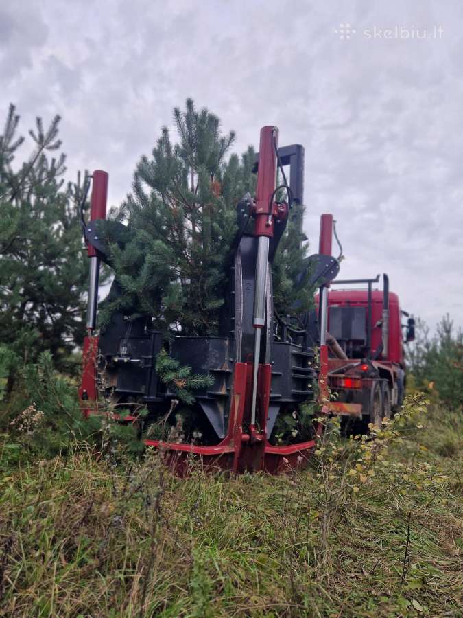 Didelių medžių persodinimas palankiausia kaina! - nuotraukos Nr. 3