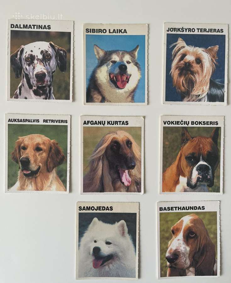 Pedigree Šuniuku Kolekcines korteles 8vnt.vintazas