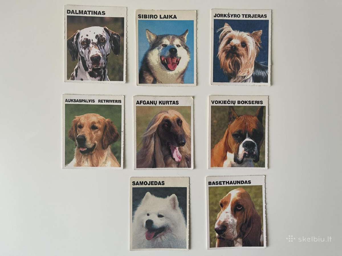 Pedigree Šuniuku Kolekcines korteles 8vnt.vintazas - nuotraukos Nr. 2