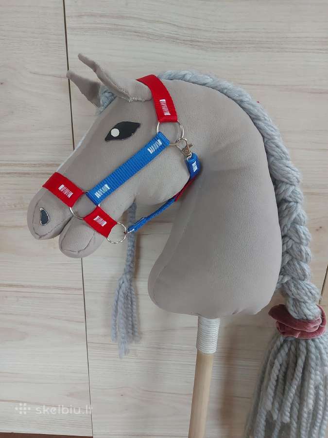 Hobby Horsing Arkliukai - nuotraukos Nr. 31