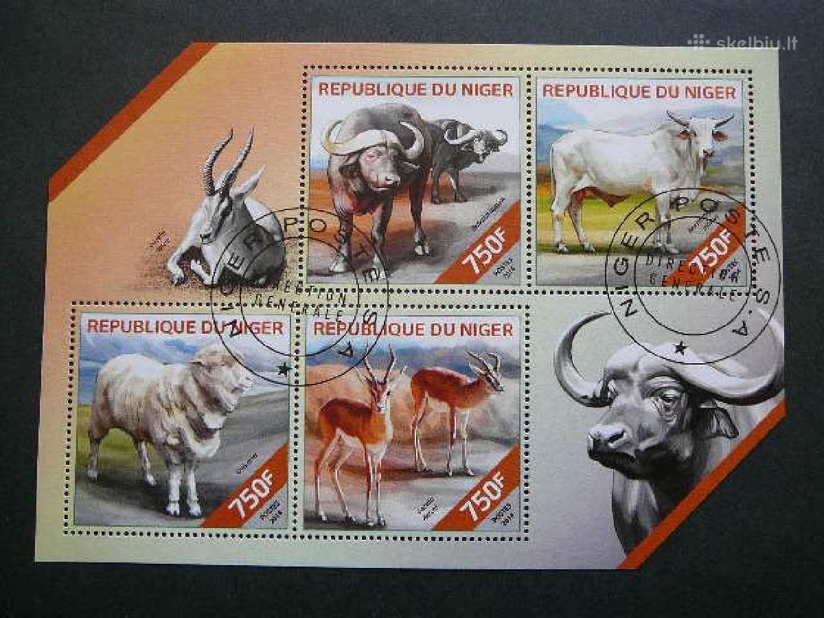 Gazeles Buivolai Nigerija 2014 antsp. ng819
