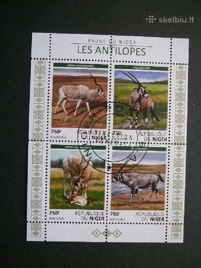 Antilopes Nigerija 2015 antsp. ng830