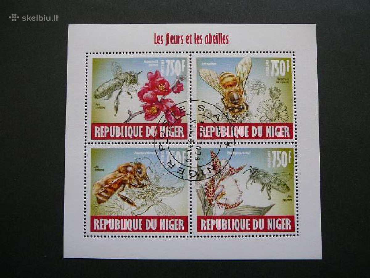 Bites Geles Nigerija 2013 antsp. ng840