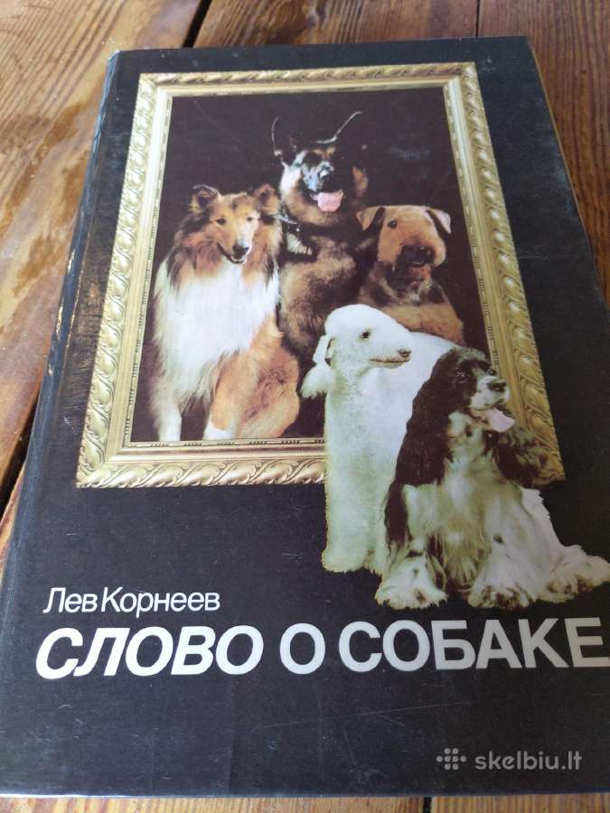 Knyga. Žodis apie šunį