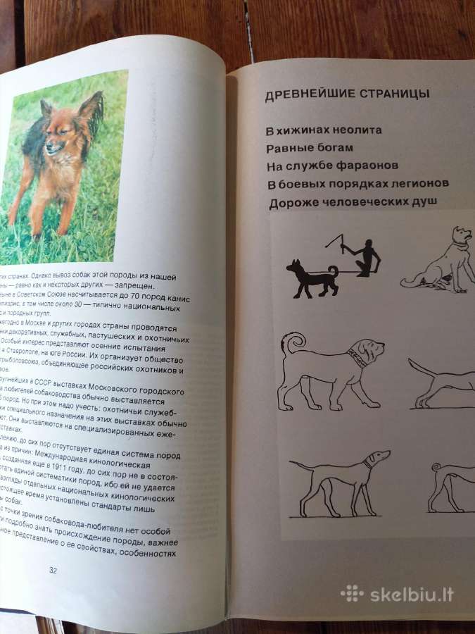Knyga. Žodis apie šunį - nuotraukos Nr. 4