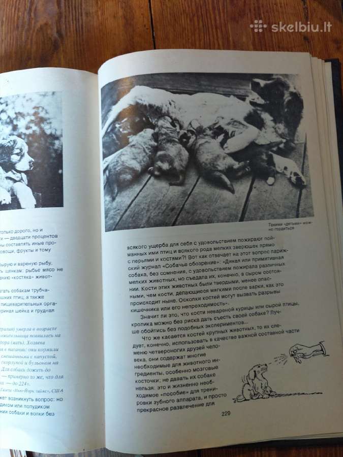 Knyga. Žodis apie šunį - nuotraukos Nr. 5