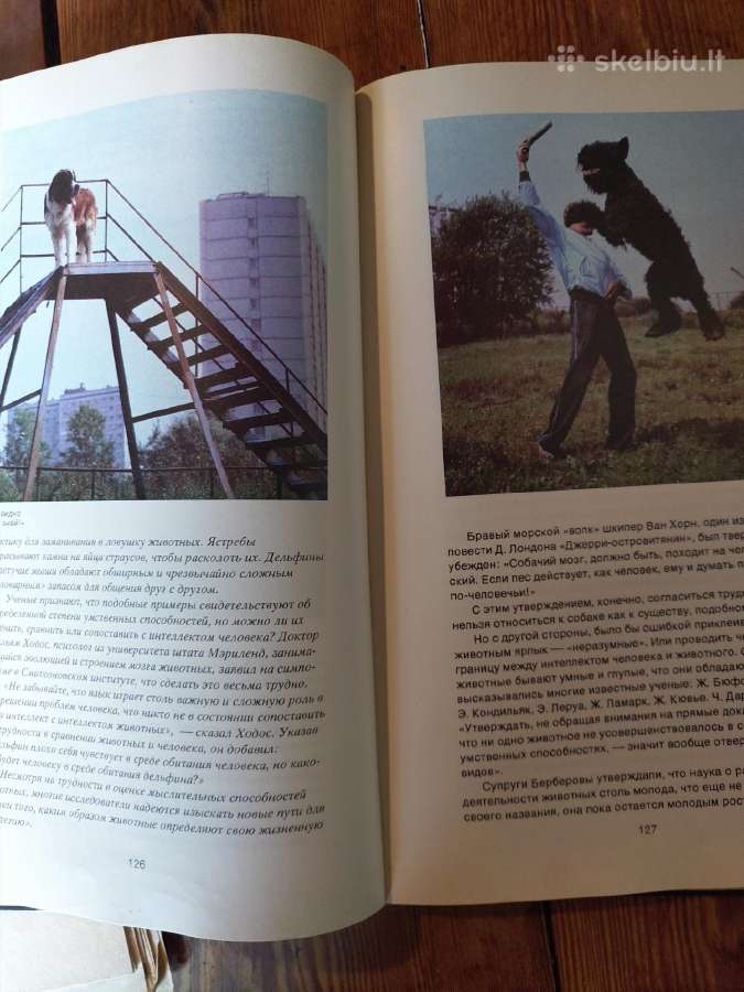Knyga. Žodis apie šunį - nuotraukos Nr. 6