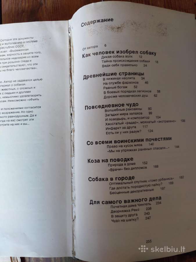 Knyga. Žodis apie šunį - nuotraukos Nr. 7