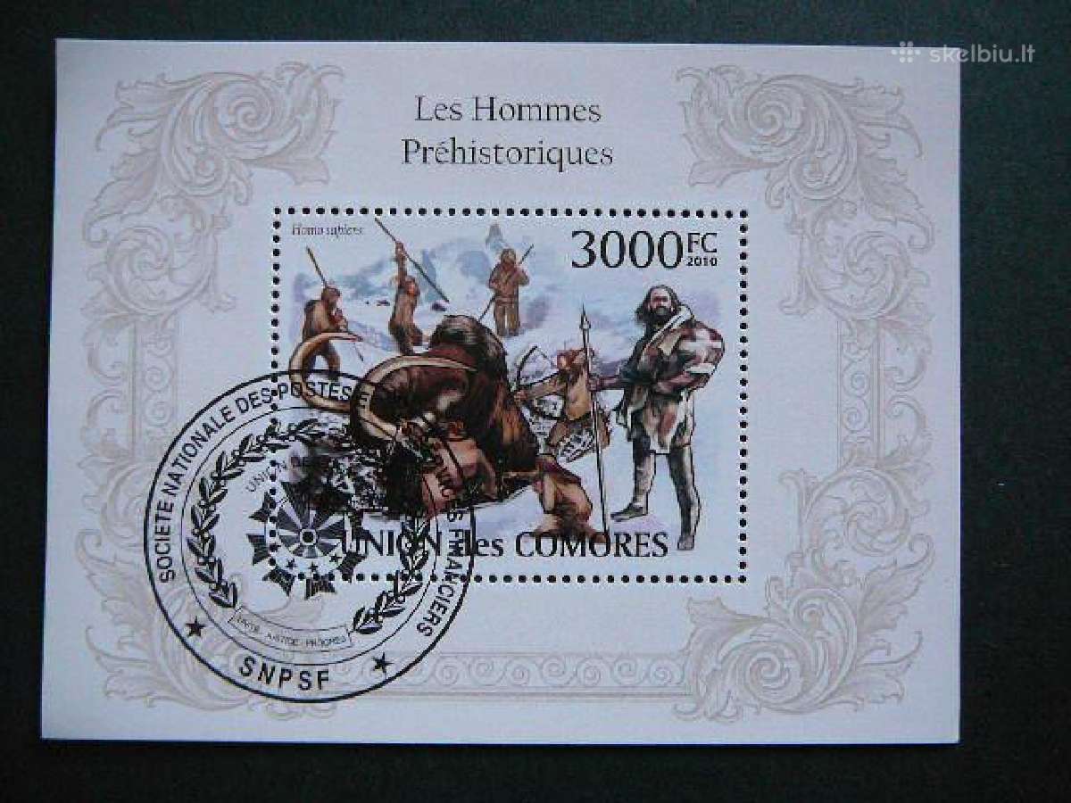 Homo Sapiens Mamutai Komorai 2010 antsp. cmr532